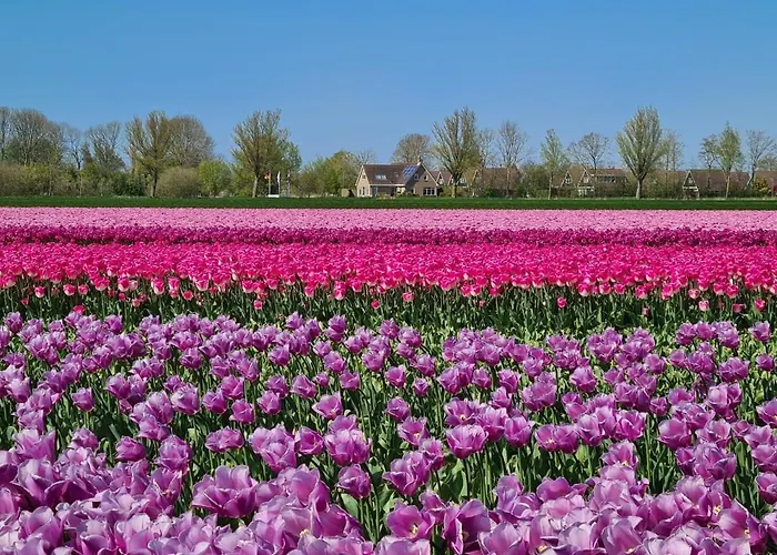 Apartamento 2a Op Recreatiepark De Wielen Sint Maarten